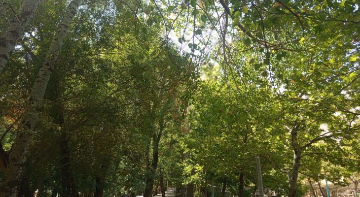 روایتی از رقص رنگ‌ها در شازند